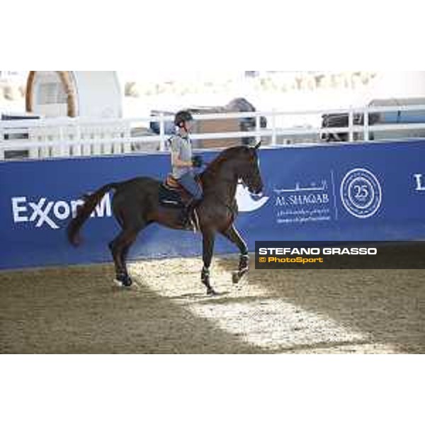 LGCT of Doha - Harrie Smolders on Don VHP Z DOHA - Al Shaqab,9th nov. 2017 ph.Stefano Grasso/LGCT