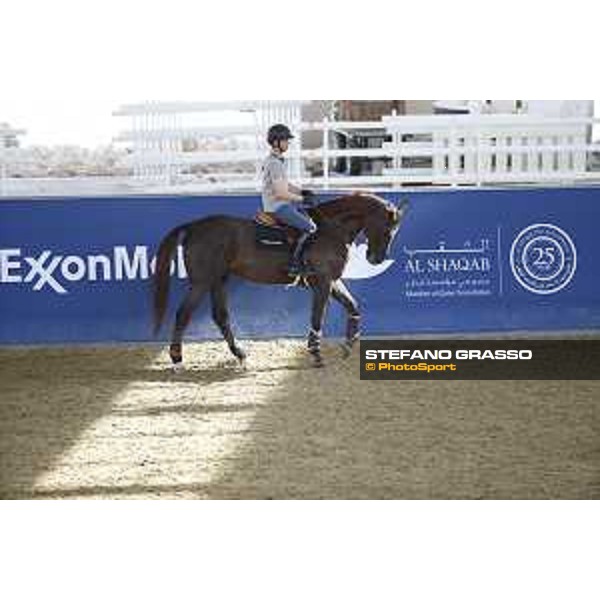 LGCT of Doha - Harrie Smolders on Don VHP Z DOHA - Al Shaqab,9th nov. 2017 ph.Stefano Grasso/LGCT
