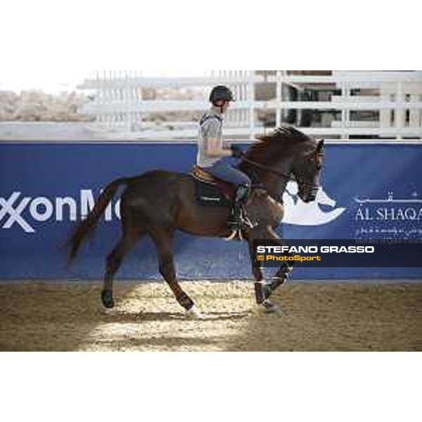 LGCT of Doha - Harrie Smolders on Don VHP Z DOHA - Al Shaqab,9th nov. 2017 ph.Stefano Grasso/LGCT