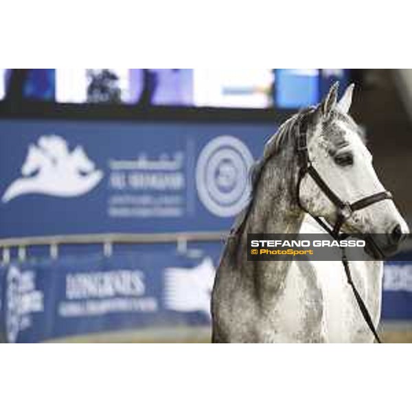 LGCT of Doha - Cornet 39 DOHA - Al Shaqab,9th nov. 2017 ph.Stefano Grasso/LGCT