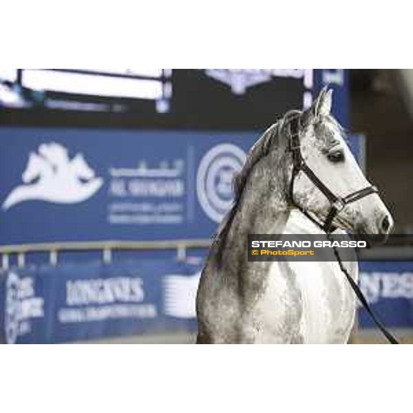 LGCT of Doha - Cornet 39 DOHA - Al Shaqab,9th nov. 2017 ph.Stefano Grasso/LGCT