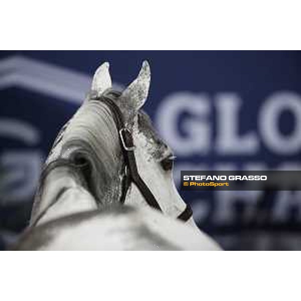 LGCT of Doha - Cornet 39 DOHA - Al Shaqab,9th nov. 2017 ph.Stefano Grasso/LGCT