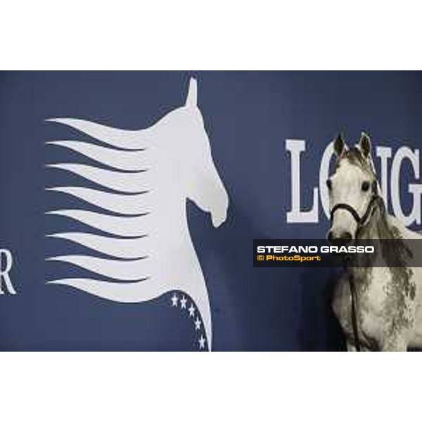 LGCT of Doha - Cornet 39 DOHA - Al Shaqab,9th nov. 2017 ph.Stefano Grasso/LGCT