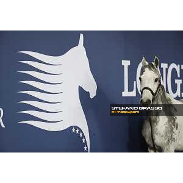 LGCT of Doha - Cornet 39 DOHA - Al Shaqab,9th nov. 2017 ph.Stefano Grasso/LGCT