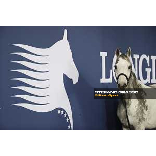 LGCT of Doha - Cornet 39 DOHA - Al Shaqab,9th nov. 2017 ph.Stefano Grasso/LGCT
