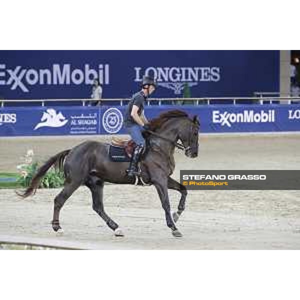 LGCT of Doha - Harrie Smolders on Don VHP Z DOHA - Al Shaqab,9th nov. 2017 ph.Stefano Grasso/LGCT