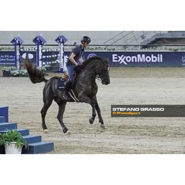 LGCT of Doha - Harrie Smolders on Don VHP Z DOHA - Al Shaqab,9th nov. 2017 ph.Stefano Grasso/LGCT