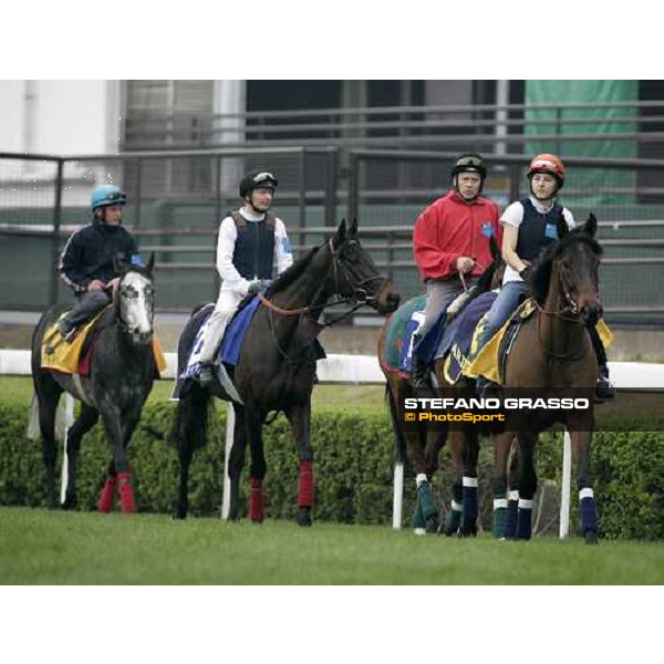 Tiza, Darjina, Spirito del Vento and Marchand d\' Or pictured at Sha Tin racetrack during morning track works Hong Kong, 6th dec. 2007 ph. Stefano Grasso