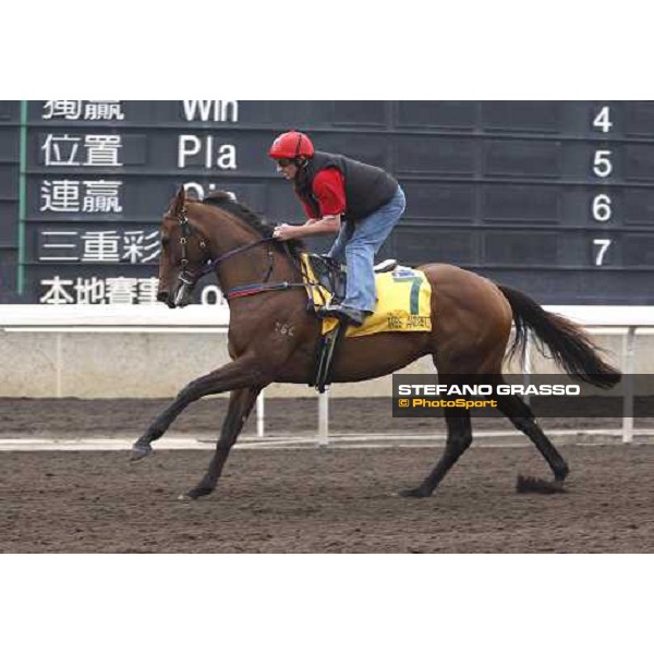 Miss Andretti pictured at Sha Tin racetrack during morning track works Hong Kong, 6th dec. 2007 ph. Stefano Grasso