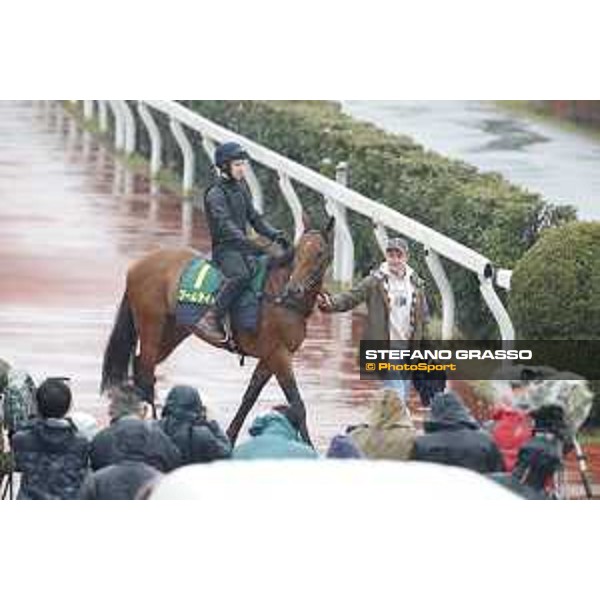 Boom Time during morning track works Fuchu racecourse,23rd nov.2017 Ph.Stefano Grasso