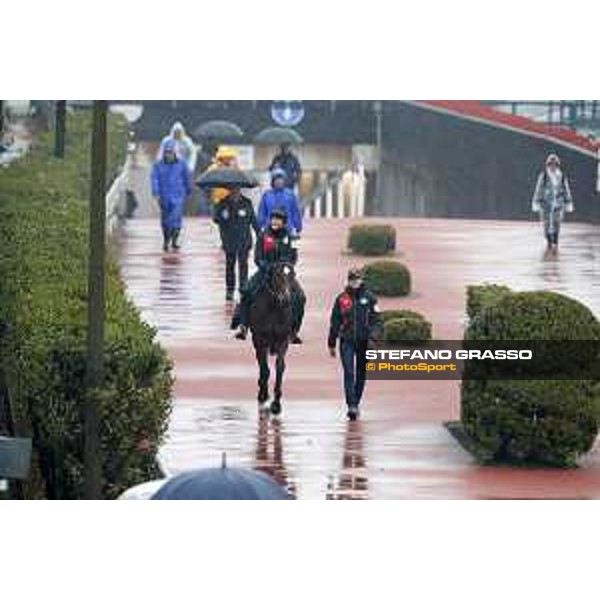 Iquitos Fuchu racecourse,23rd nov.2017 Ph.Stefano Grasso