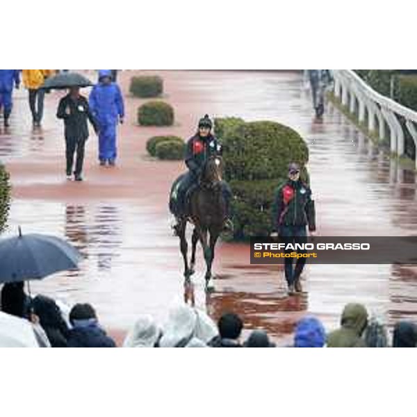 Iquitos Fuchu racecourse,23rd nov.2017 Ph.Stefano Grasso