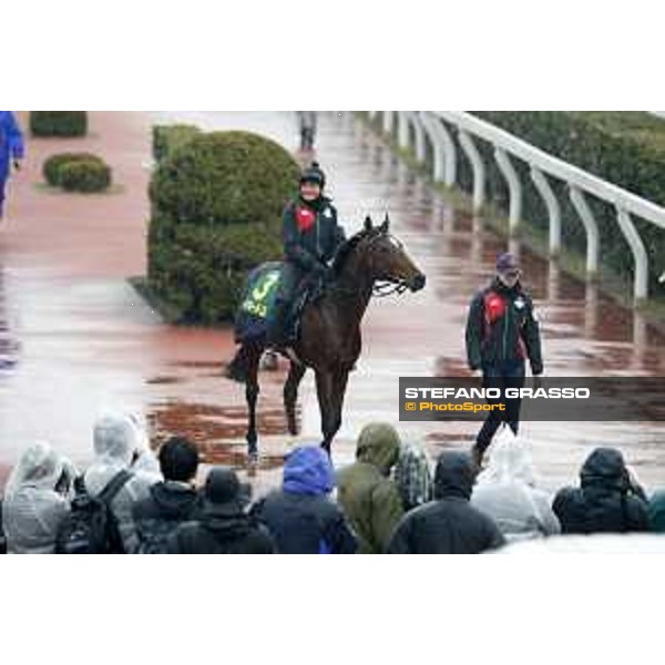 Iquitos Fuchu racecourse,23rd nov.2017 Ph.Stefano Grasso