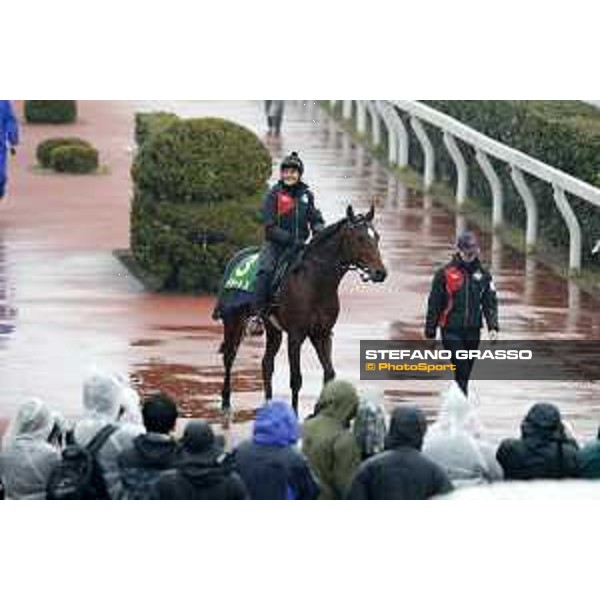 Iquitos Fuchu racecourse,23rd nov.2017 Ph.Stefano Grasso