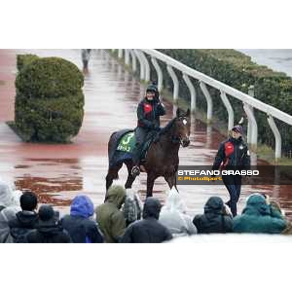 Iquitos Fuchu racecourse,23rd nov.2017 Ph.Stefano Grasso