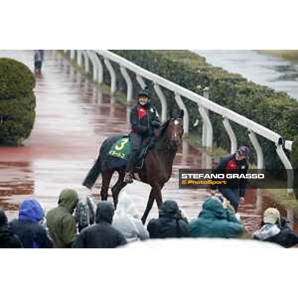 Iquitos Fuchu racecourse,23rd nov.2017 Ph.Stefano Grasso