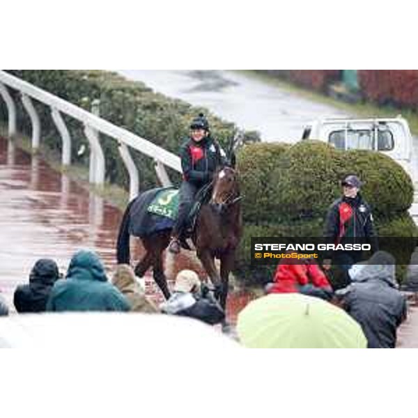 Iquitos Fuchu racecourse,23rd nov.2017 Ph.Stefano Grasso