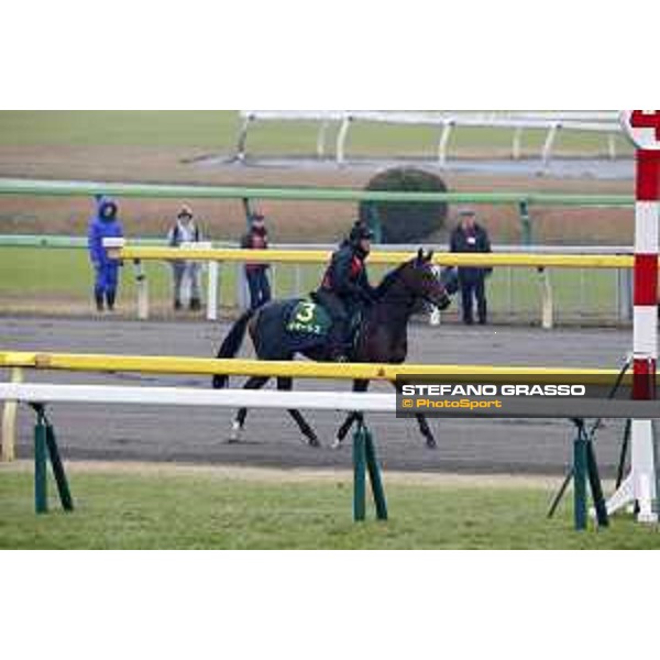 Iquitos Fuchu racecourse,23rd nov.2017 Ph.Stefano Grasso