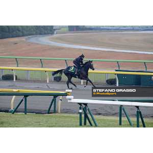 Iquitos Fuchu racecourse,23rd nov.2017 Ph.Stefano Grasso