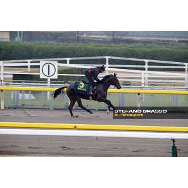 Iquitos Fuchu racecourse,23rd nov.2017 Ph.Stefano Grasso