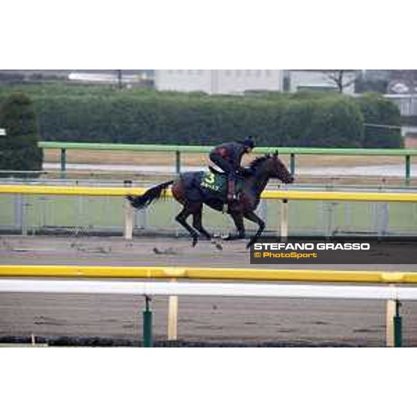 Iquitos Fuchu racecourse,23rd nov.2017 Ph.Stefano Grasso