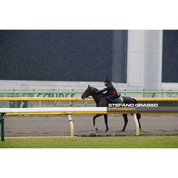 Iquitos Fuchu racecourse,23rd nov.2017 Ph.Stefano Grasso