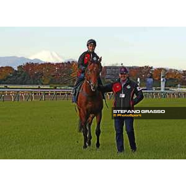 Cory Parish on Boom Time with David Hayes and the Fuji San in the background Fuchu racecourse,24th nov.2017 Ph.Stefano Grasso