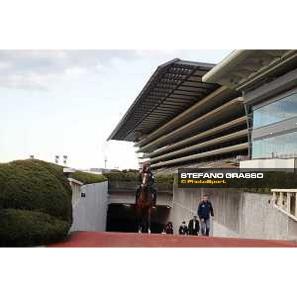 Idaho Fuchu racecourse,24th nov.2017 Ph.Stefano Grasso