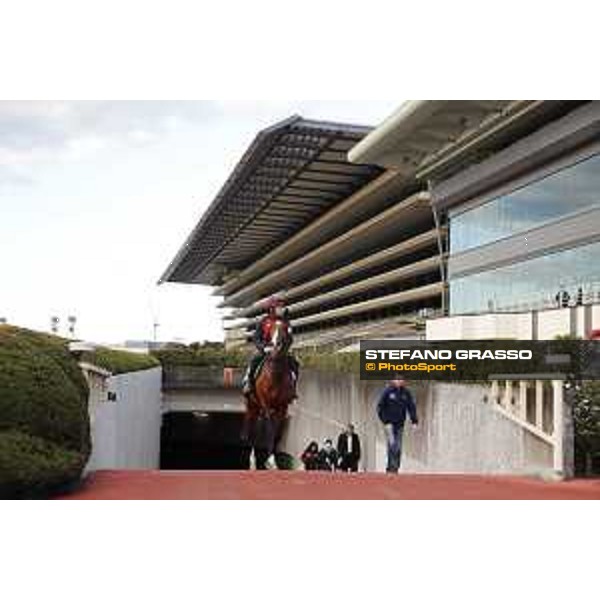 Idaho Fuchu racecourse,24th nov.2017 Ph.Stefano Grasso