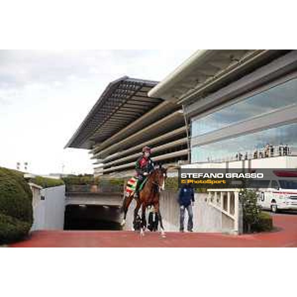 Idaho Fuchu racecourse,24th nov.2017 Ph.Stefano Grasso