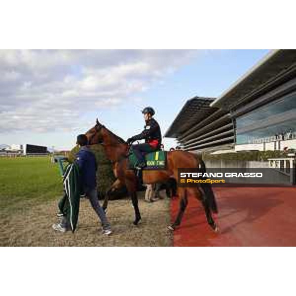 Boom Time Fuchu racecourse,24th nov.2017 Ph.Stefano Grasso