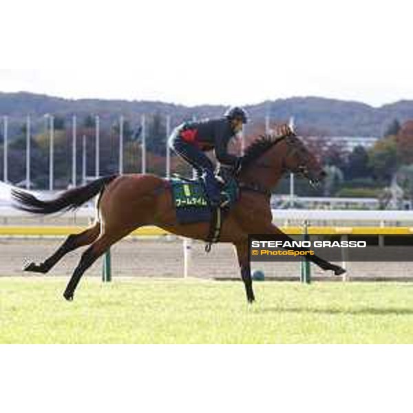 Boom Time Fuchu racecourse,24th nov.2017 Ph.Stefano Grasso