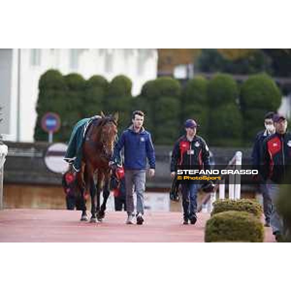Boom Time Fuchu racecourse,24th nov.2017 Ph.Stefano Grasso