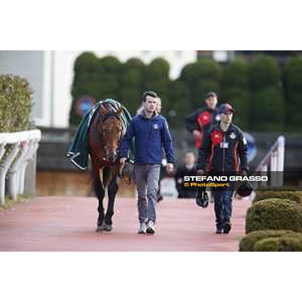 Boom Time Fuchu racecourse,24th nov.2017 Ph.Stefano Grasso