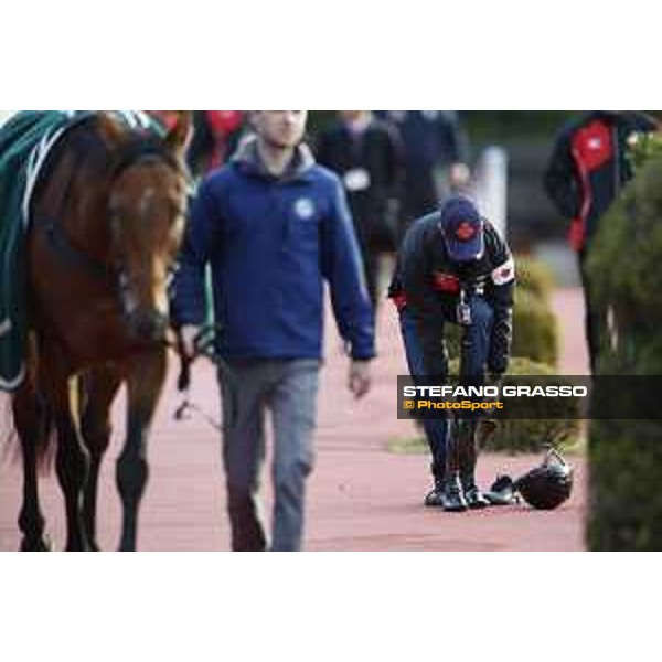 Boom Time - Cory Parish Fuchu racecourse,24th nov.2017 Ph.Stefano Grasso