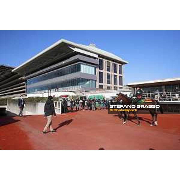 Iquitos - Morning track works Fuchu racecourse,24th nov.2017 Ph.Stefano Grasso