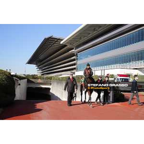 Iquitos and trainer Hans Jurgen Groschel -Morning track works Fuchu racecourse,24th nov.2017 Ph.Stefano Grasso