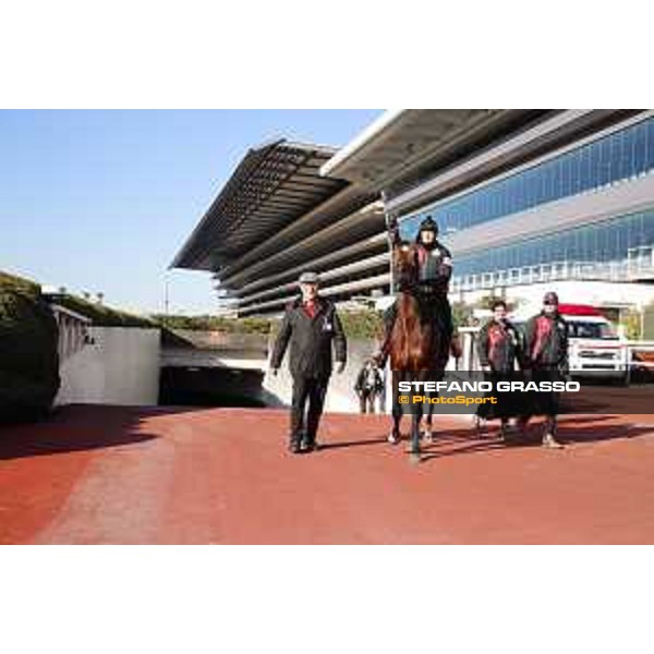 Iquitos and trainer Hans Jurgen Groschel -Morning track works Fuchu racecourse,24th nov.2017 Ph.Stefano Grasso