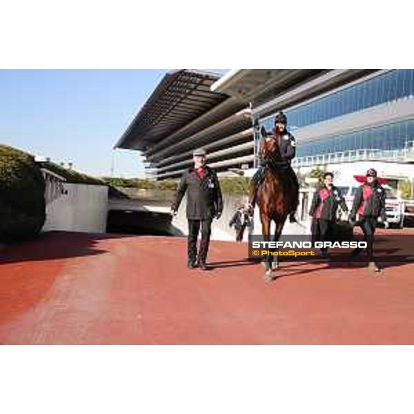 Iquitos and trainer Hans Jurgen Groschel -Morning track works Fuchu racecourse,24th nov.2017 Ph.Stefano Grasso