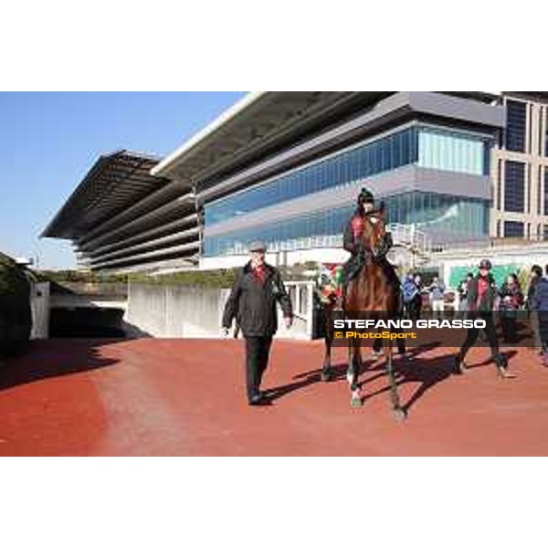 Iquitos and trainer Hans Jurgen Groschel -Morning track works Fuchu racecourse,24th nov.2017 Ph.Stefano Grasso