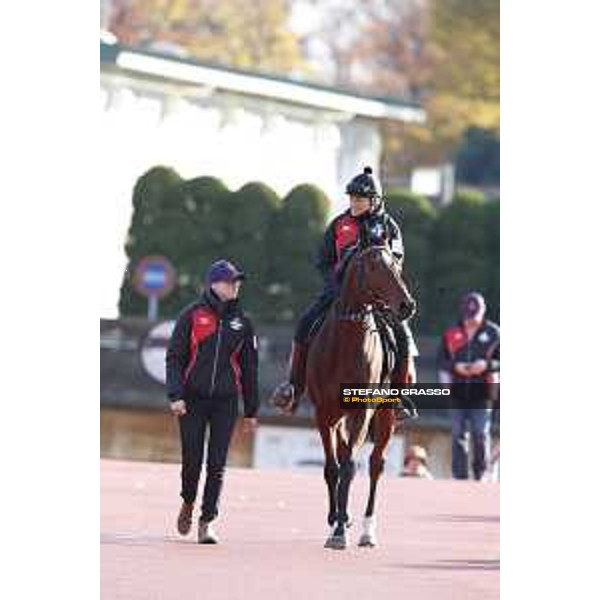 Iquitos -Morning track works Fuchu racecourse,24th nov.2017 Ph.Stefano Grasso