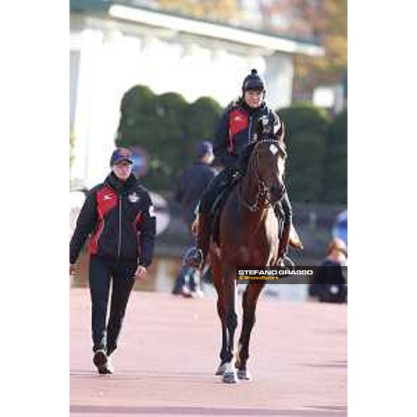 Iquitos -Morning track works Fuchu racecourse,24th nov.2017 Ph.Stefano Grasso