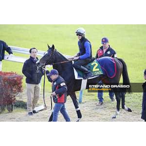 Miki Cadeddu on Guignol -Morning track works Fuchu racecourse,24th nov.2017 Ph.Stefano Grasso