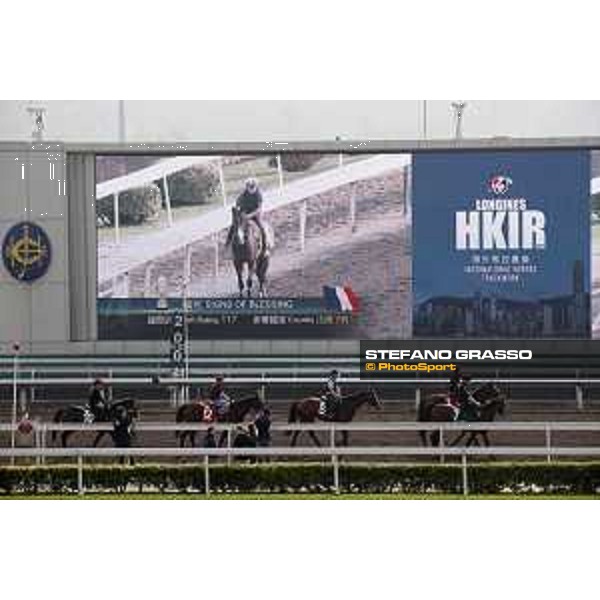 Morning track works at Sea Tin LHKIR 2017 Hong Kong,6th dec.2017 Ph.Stefano Grasso