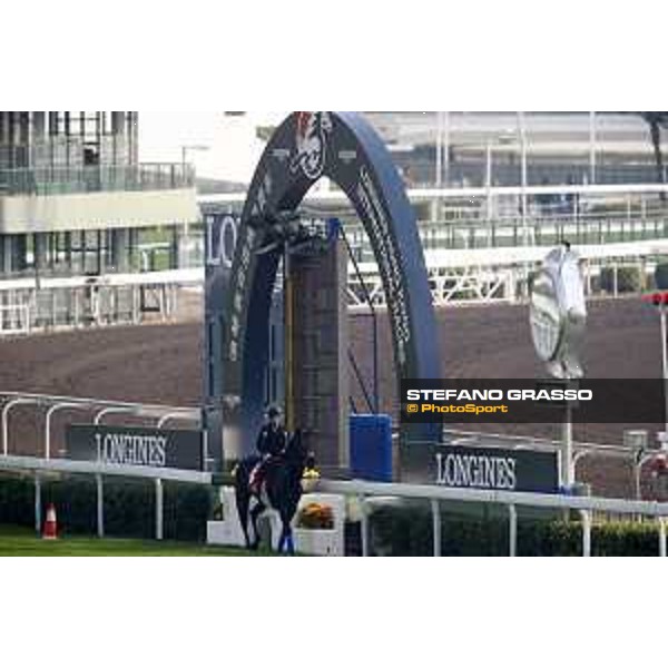 Morning track works at Sea Tin LHKIR 2017 Hong Kong,6th dec.2017 Ph.Stefano Grasso