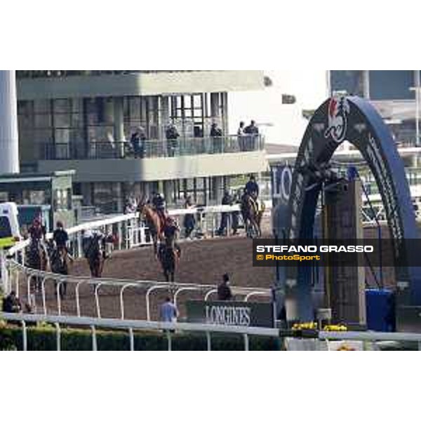 Morning track works at Sea Tin LHKIR 2017 Hong Kong,6th dec.2017 Ph.Stefano Grasso