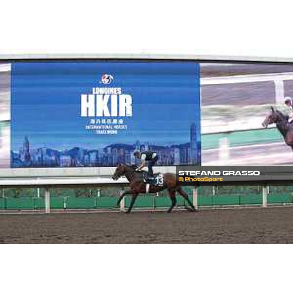 Morning track works at Sha Tin racecourse - Tiberian - Hong Kong - 7 December 2017 - ph.Stefano Grasso/Longines