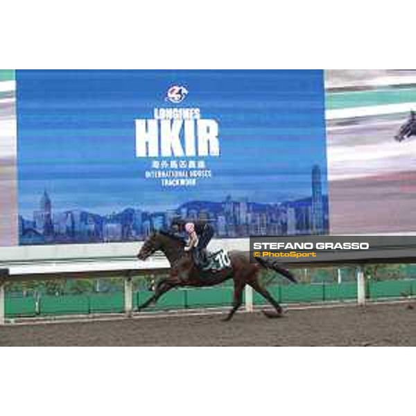 Morning track works at Sha Tin racecourse - Max Dynamite - Hong Kong - 7 December 2017 - ph.Stefano Grasso/Longines
