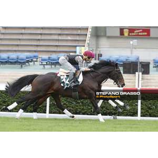 Morning track works at Sha Tin racecourse - Silvestre de Sousa - Hong Kong - 7 December 2017 - ph.Stefano Grasso/Longines