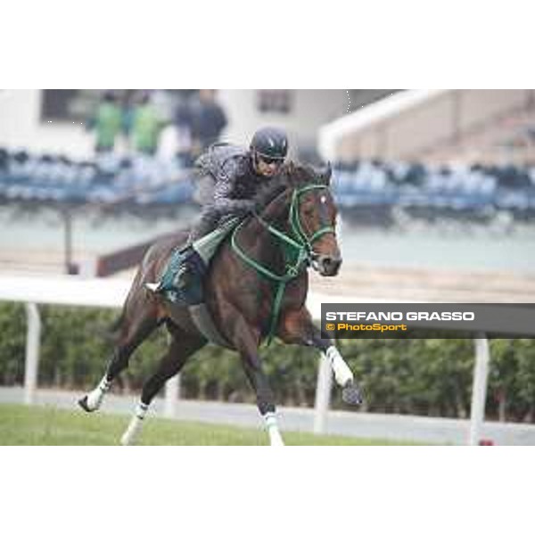 Morning track works at Sha Tin racecourse - Mirco DeMuro - Kiseki - Hong Kong - 7 December 2017 - ph.Stefano Grasso/Longines